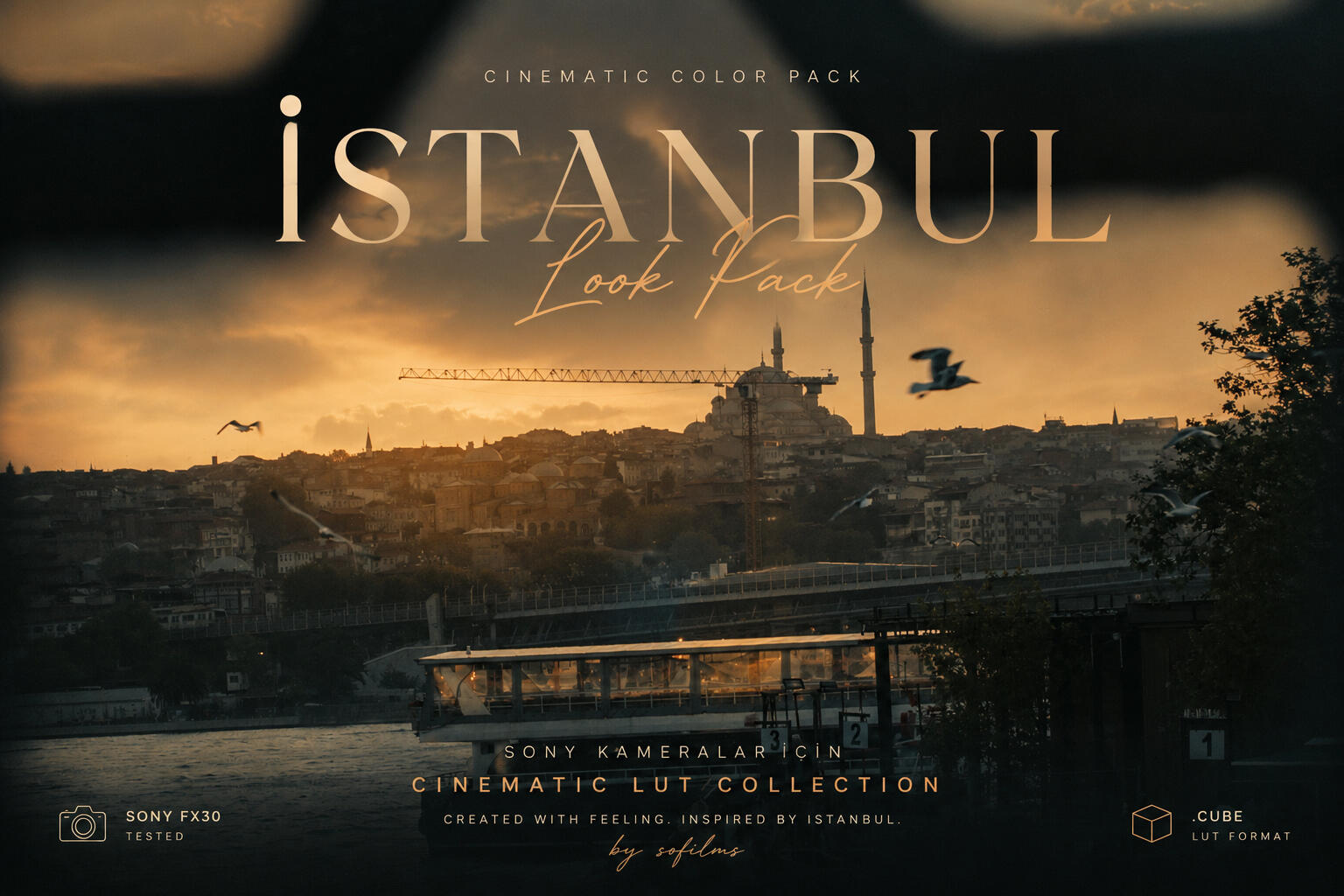TARLANZADEH Filmmaker & Cinematographer